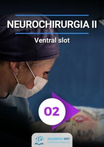 NEUROCHIRURGIA WETERYNARYJNA VENTRAL SLOT