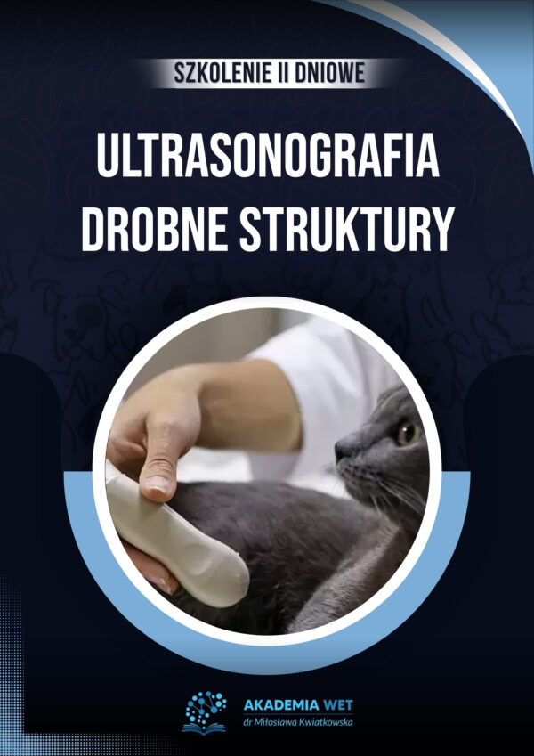 ULTRASONOGRAFIA DROBNE STRUKTURY