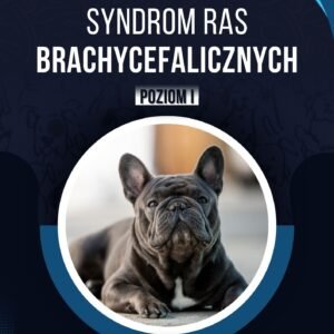 SYNDROM RAS BRACHYCEFALICZNYCH