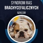 SYNDROM RAS BRACHYCEFALICZNYCH POZIOM II