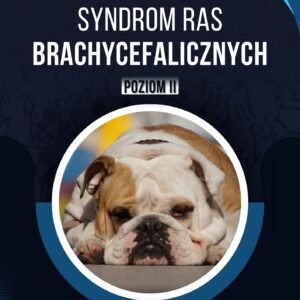 SYNDROM RAS BRACHYCEFALICZNYCH POZIOM II