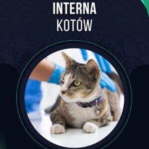 INTERNA KOTÓW