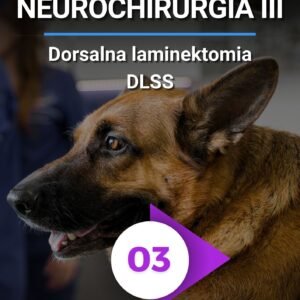 NEUROCHIRURGIA DORSALNA LAMINEKTOMIA