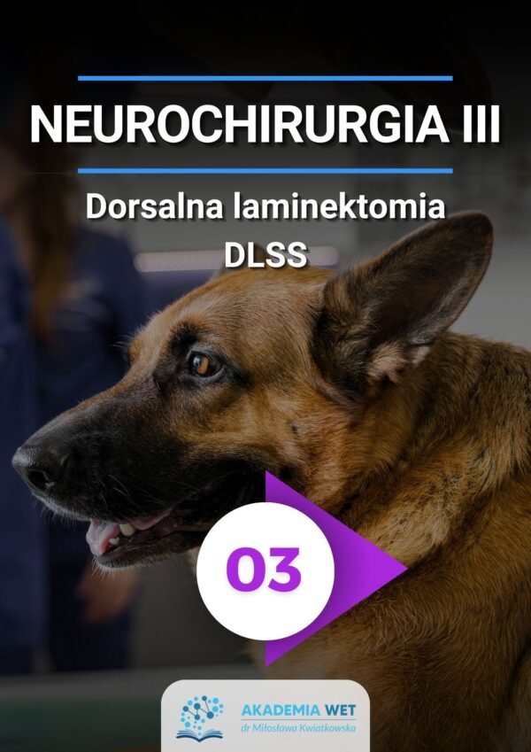 NEUROCHIRURGIA DORSALNA LAMINEKTOMIA