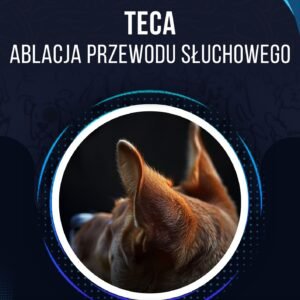 TECA (ablacja przewodu słuchowego)