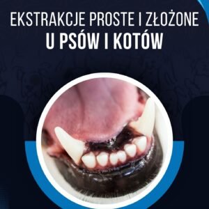 EKSTRAKCJE PROSTE I ZŁOŻONE <BR>U PSÓW I KOTÓW