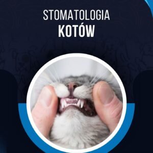 STOMATOLOGIA KOTÓW