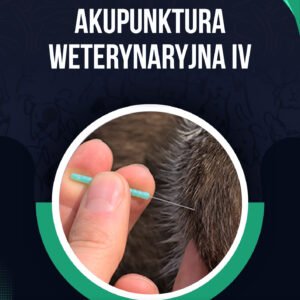 AKUPUNKTURA WETERYNARYJNA IV