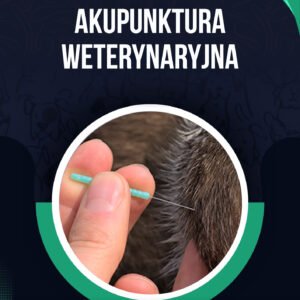 AKUPUNKTURA WETERYNARYJNA