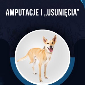 AMPUTACJE I USUNIĘCIA