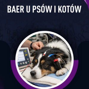 BAER U PSÓW I KOTÓW