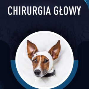 CHIRURGIA GŁOWY