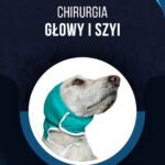 CHIRURGIA GŁOWY I SZYI