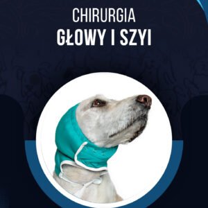 CHIRURGIA GŁOWY I SZYI