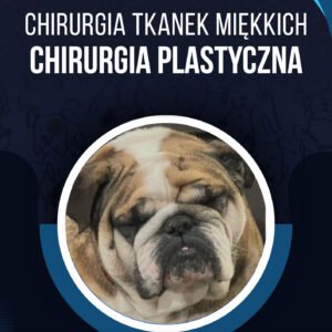 CHIRURGIA PLASTYCZNA