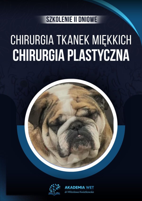 CHIRURGIA PLASTYCZNA