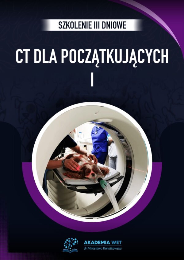 CT dla początkujących I
