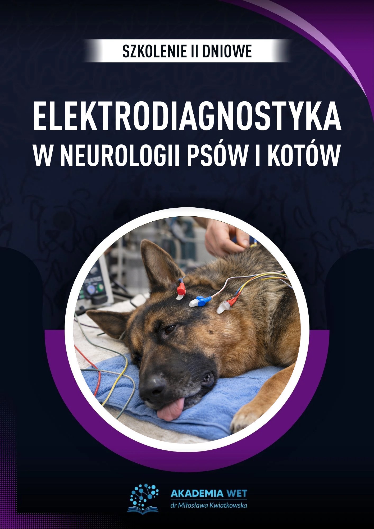 ELEKTRODIAGNOSTYKA W NEUROLOGII PSÓW I KOTÓW