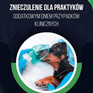ZNIECZULENIE DLA PRAKTYKÓW