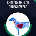 CHOROBY UKŁADU ODDECHOWEGO