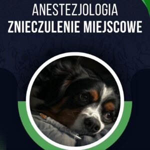 ZNIECZULENIE MIEJSCOWE