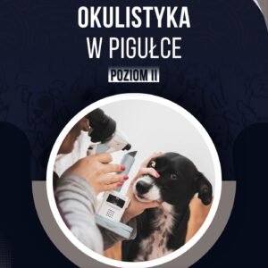 OKULISTYKA W PIGUŁCE II