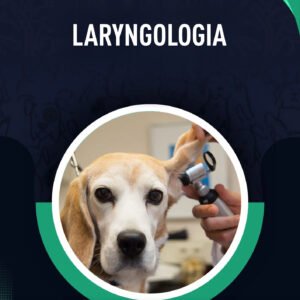 LARYNGOLOGIA