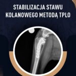 Stabilizacja stawu kolanowego metodą TPLO