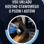 USG układu kostno-stawowego u psów i kotów